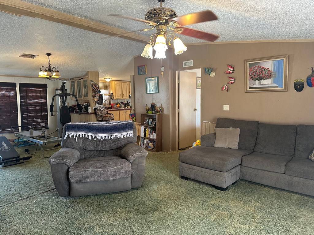 Alpine, TX 79830,1306 8th St