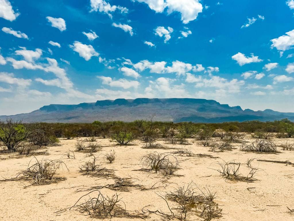 Terlingua, TX 79852,TR G225 Spock Rd.