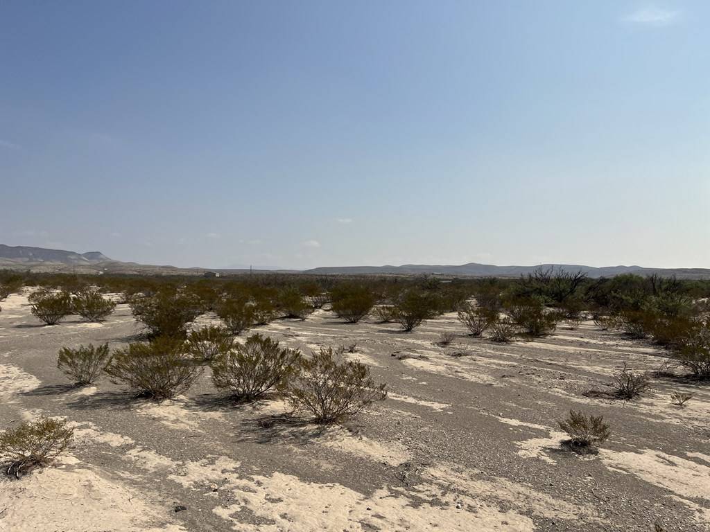 Terlingua, TX 79852,TR: C80 Rainbow Hawk Rd