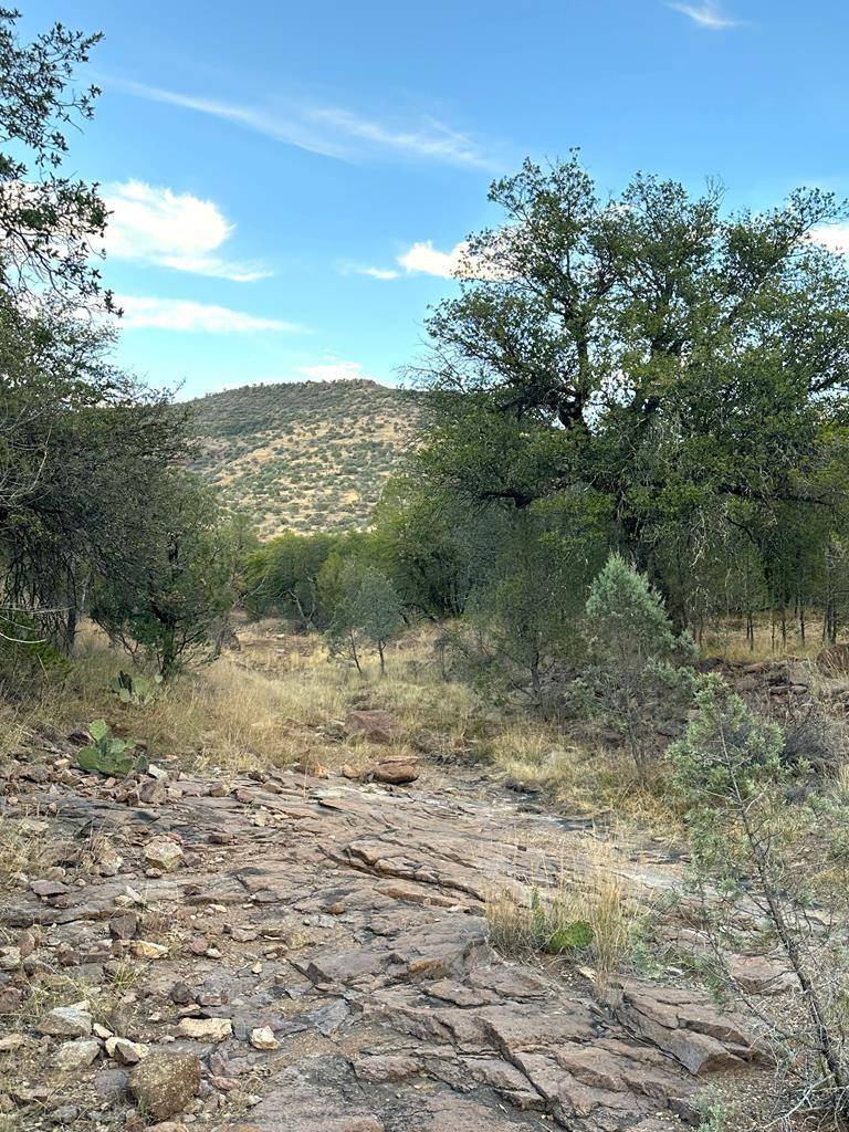 Fort Davis, TX 79734,100 Tejano Canyon