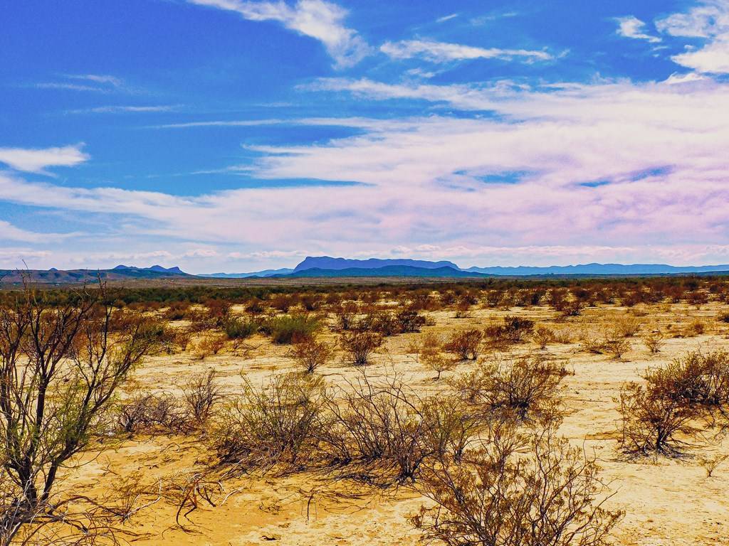 Terlingua, TX 79852,16027 Red Bluff Circle