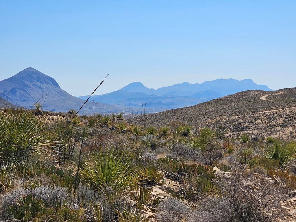 Terlingua, TX 79852,2808 E. Echo Ranch Rd.