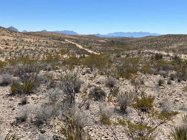 Terlingua, TX 79852,24311 Blue Ridge Rd.