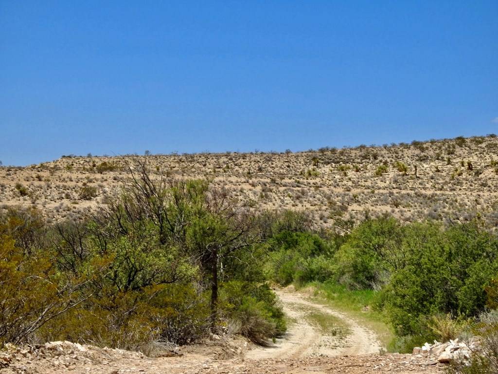 Terlingua, TX 79852,4803 Rattlesnake Rd