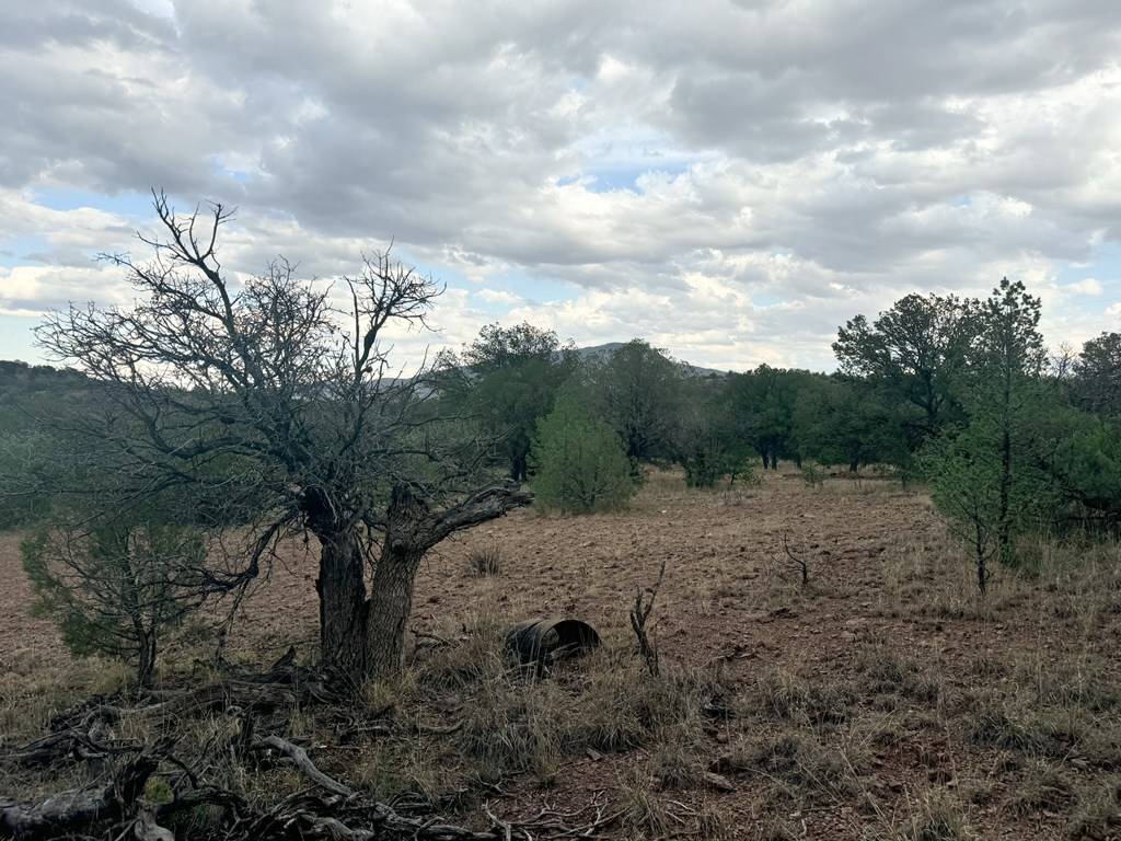 Fort Davis, TX 79734,325 High Lonesome