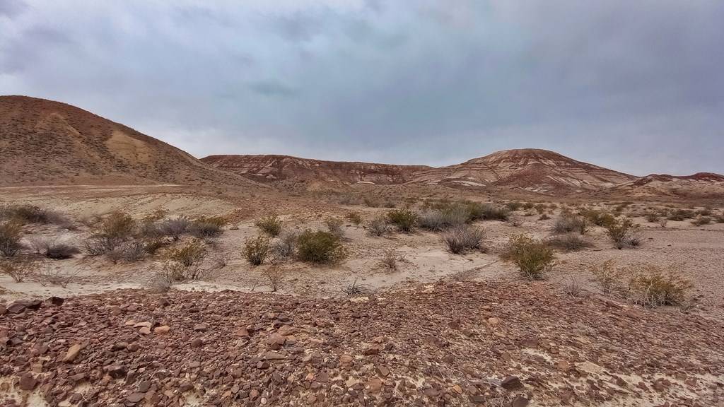 Valentine, TX 79854,0 Chispa Rd