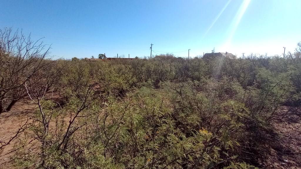 Valentine, TX 79854,107 Main