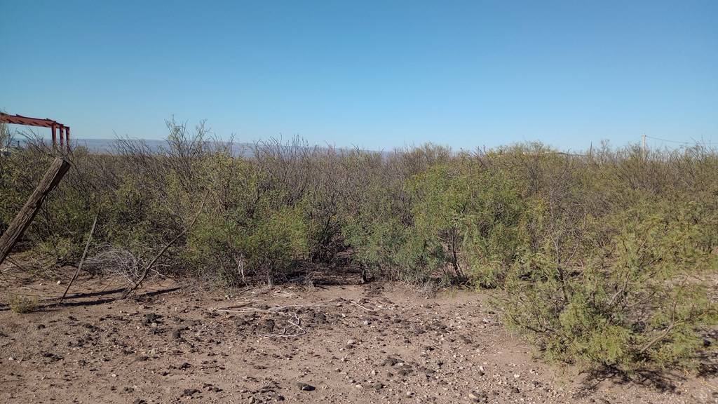 Valentine, TX 79854,200 Nevada