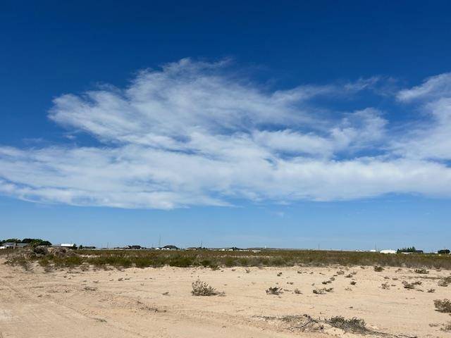 Fort Stockton, TX 79735,000 McIntyre