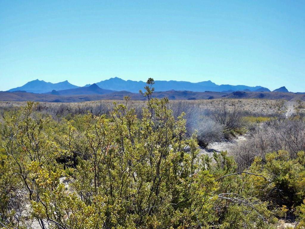 Terlingua, TX 79852,36 Teigen Drive