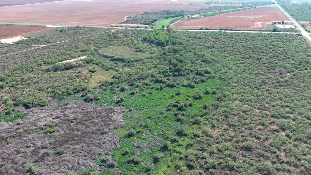 Other, TX 79749,0000 Hwy 137