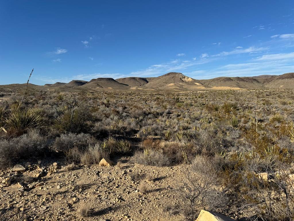 Terlingua, TX 79852,5 Predator West