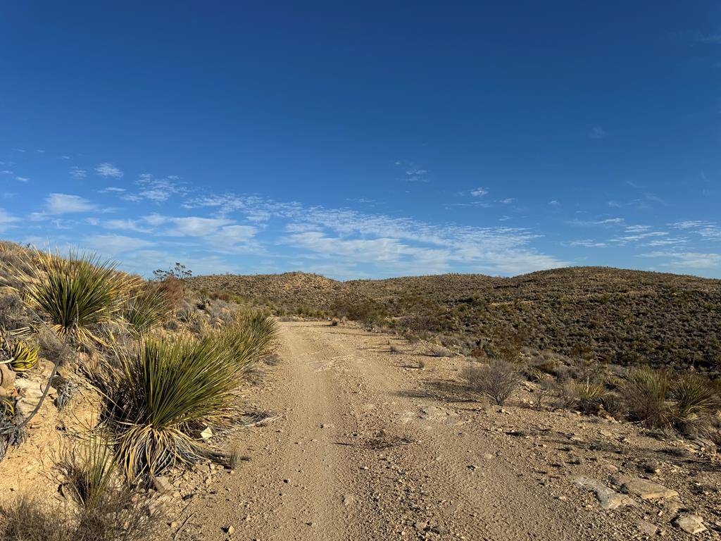 Terlingua, TX 79852,15 Predator West
