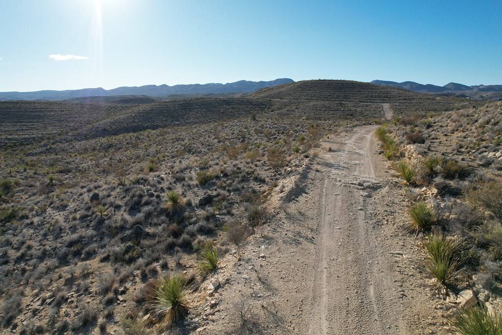 Terlingua, TX 79852,15 Predator West