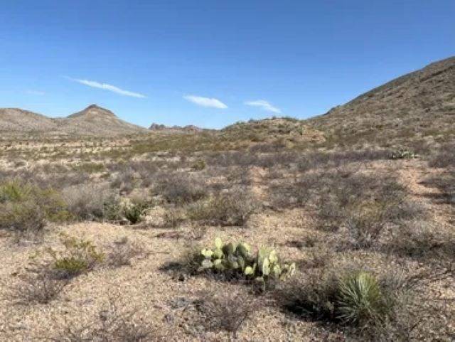 Terlingua, TX 79852,27236 Lake Ament Rd.