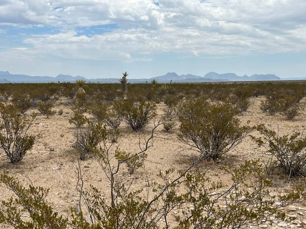 Terlingua, TX 79852,14754 Titan Pkwy
