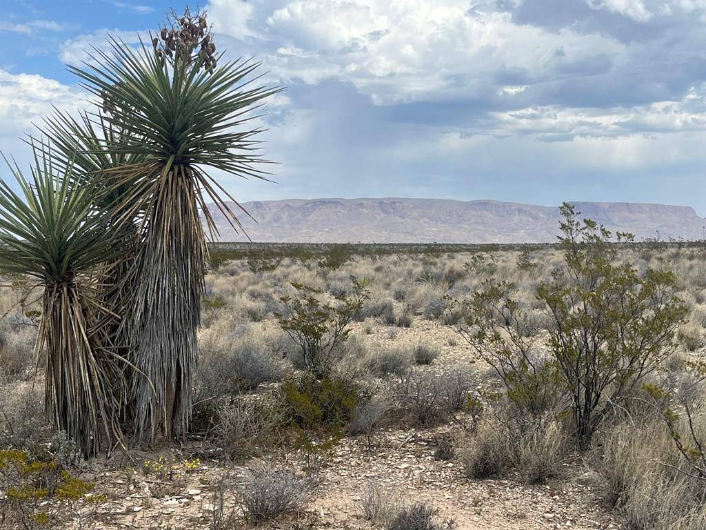 Terlingua, TX 79852,14570 Alpha