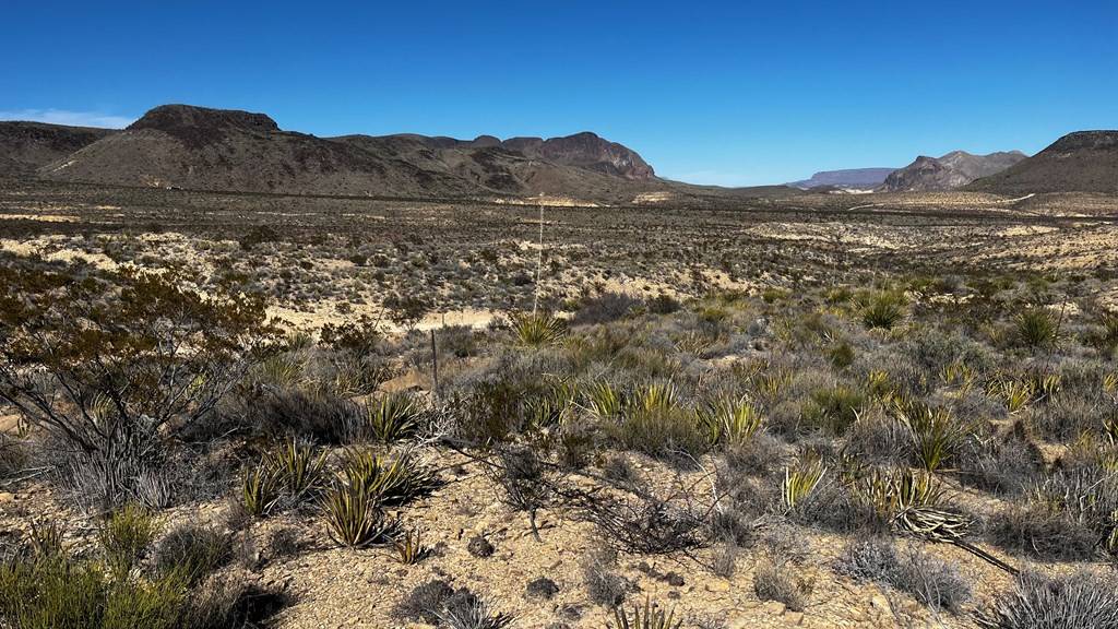 Terlingua, TX 79852,24387 Echo S. Rd.