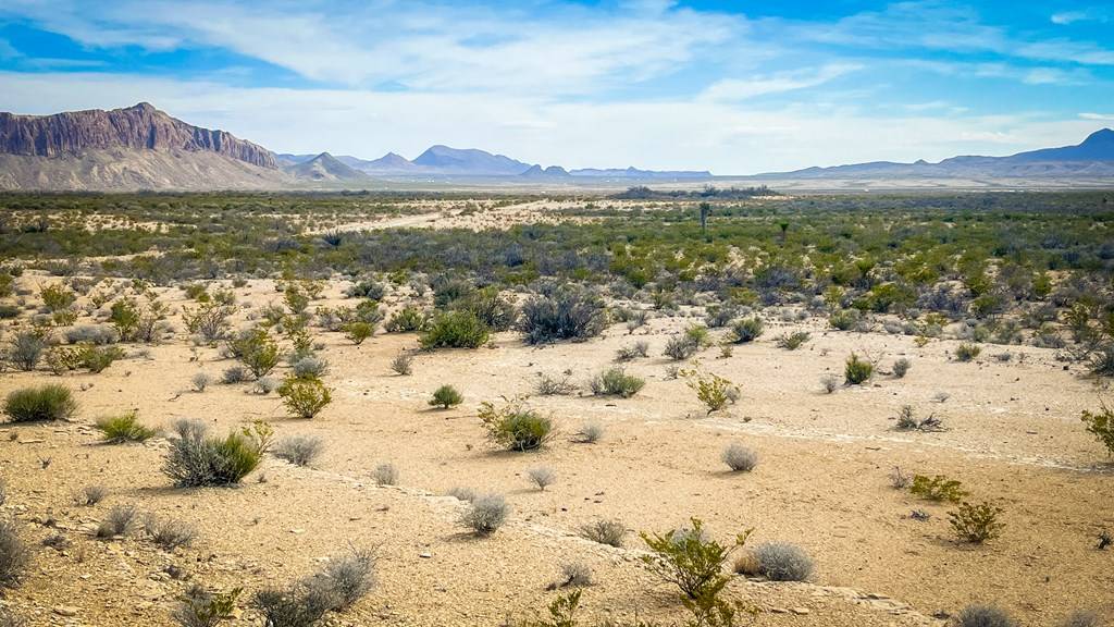 Terlingua, TX 79852,15477 San Antonio Ave