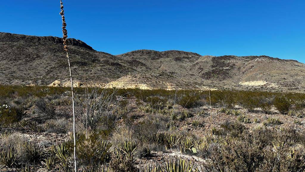 Terlingua, TX 79852,24423 Fellers Road