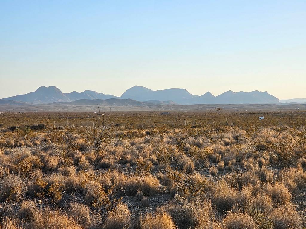 Terlingua, TX 79852,G444 Jones Rd