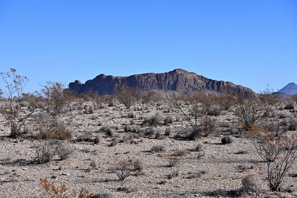 Terlingua, TX 79852,G104 Bad Bunny Rd.