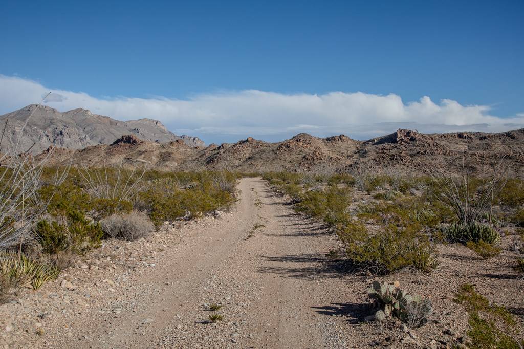 Terlingua, TX 79852,TR 1827 Mud Spring Road