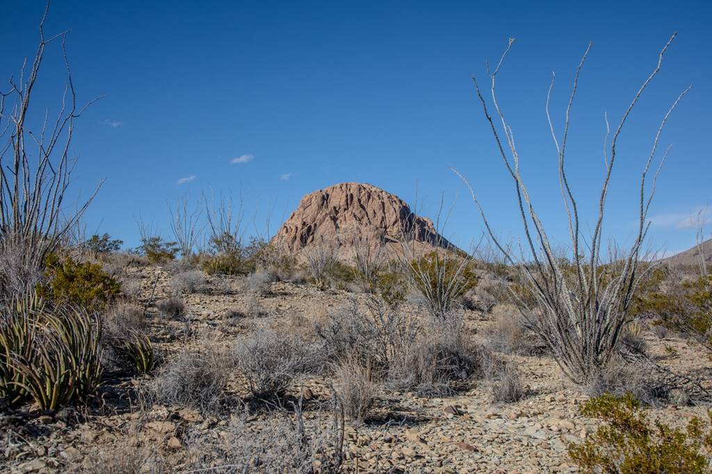 Terlingua, TX 79852,TR 1827 Mud Spring Road