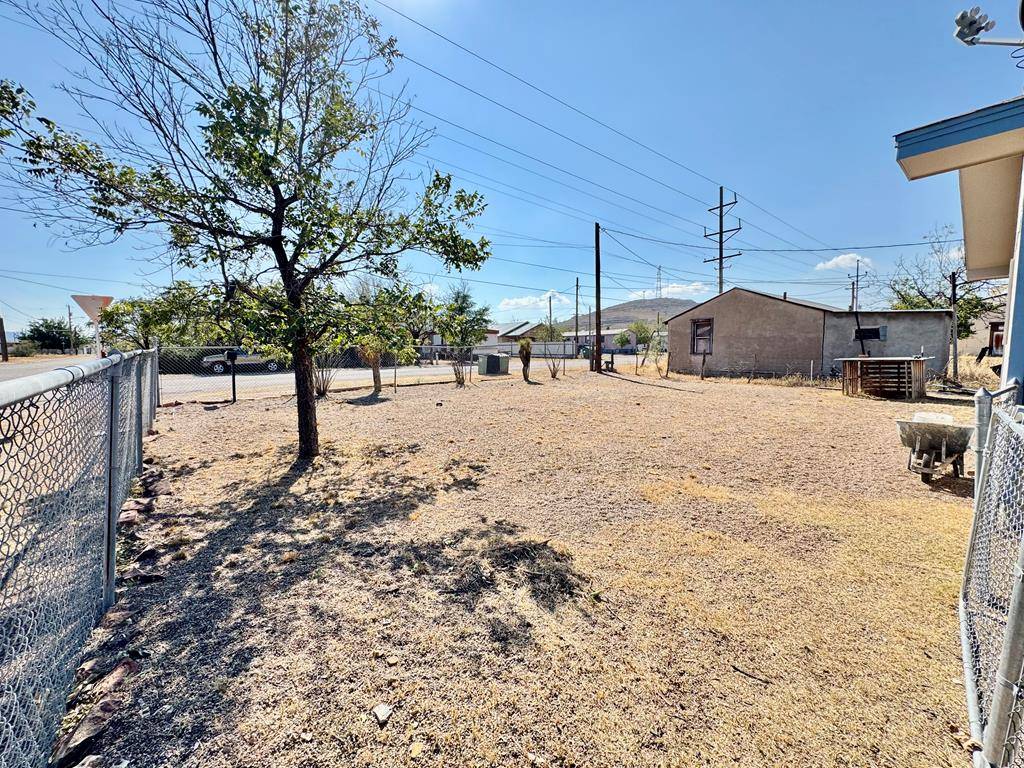 Alpine, TX 79830,1209 Gallego
