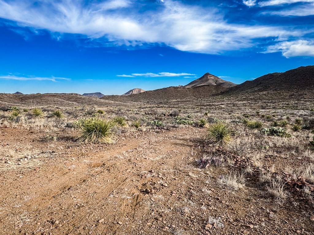 Terlingua, TX 79852,TR 894A Lake Ament Rd.
