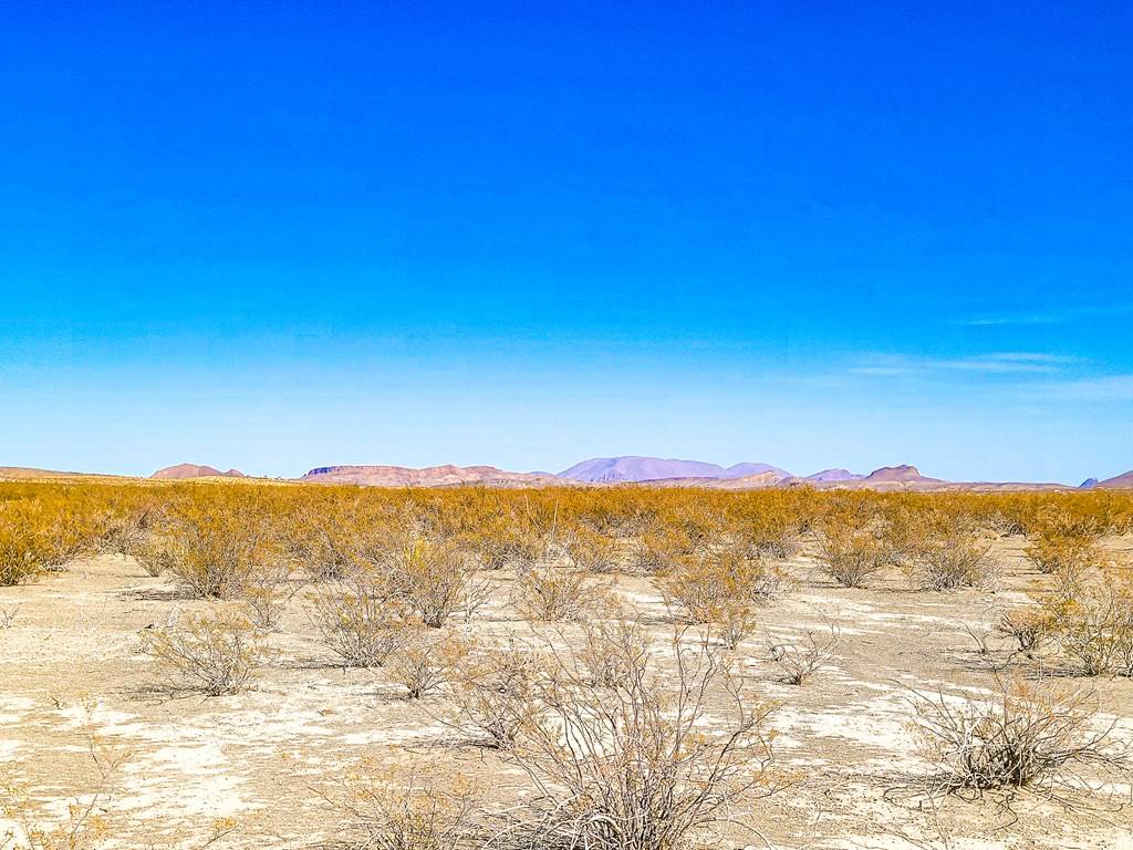 Terlingua, TX 79852,16402 Comanche Prairie