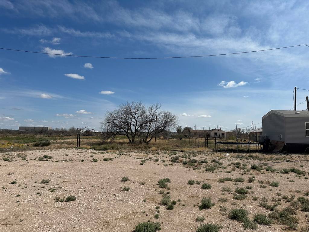 Monahans, TX 79756,4600 Veronica St