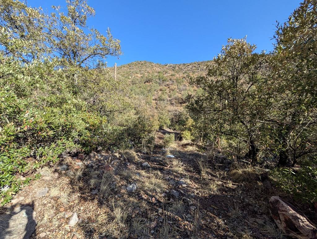 Fort Davis, TX 79734,402 Colleen Canyon Trail
