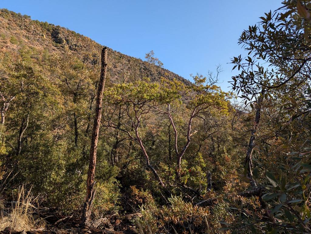 Fort Davis, TX 79734,402 Colleen Canyon Trail