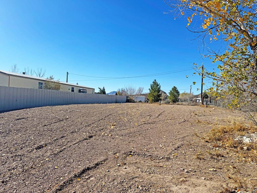 Fort Davis, TX 79734,503 Military Dr