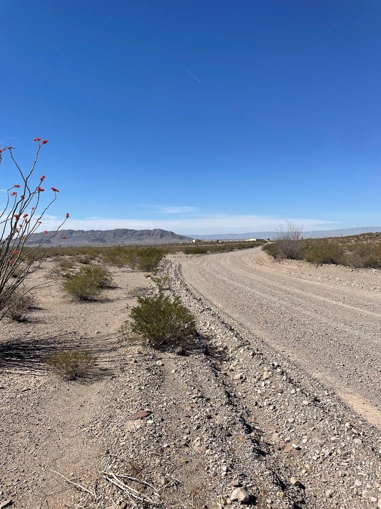 Presidio, TX 79845,0 Ranch Rd