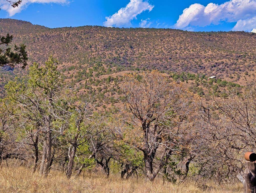 Fort Davis, TX 79734,114 Low Meadow Trail