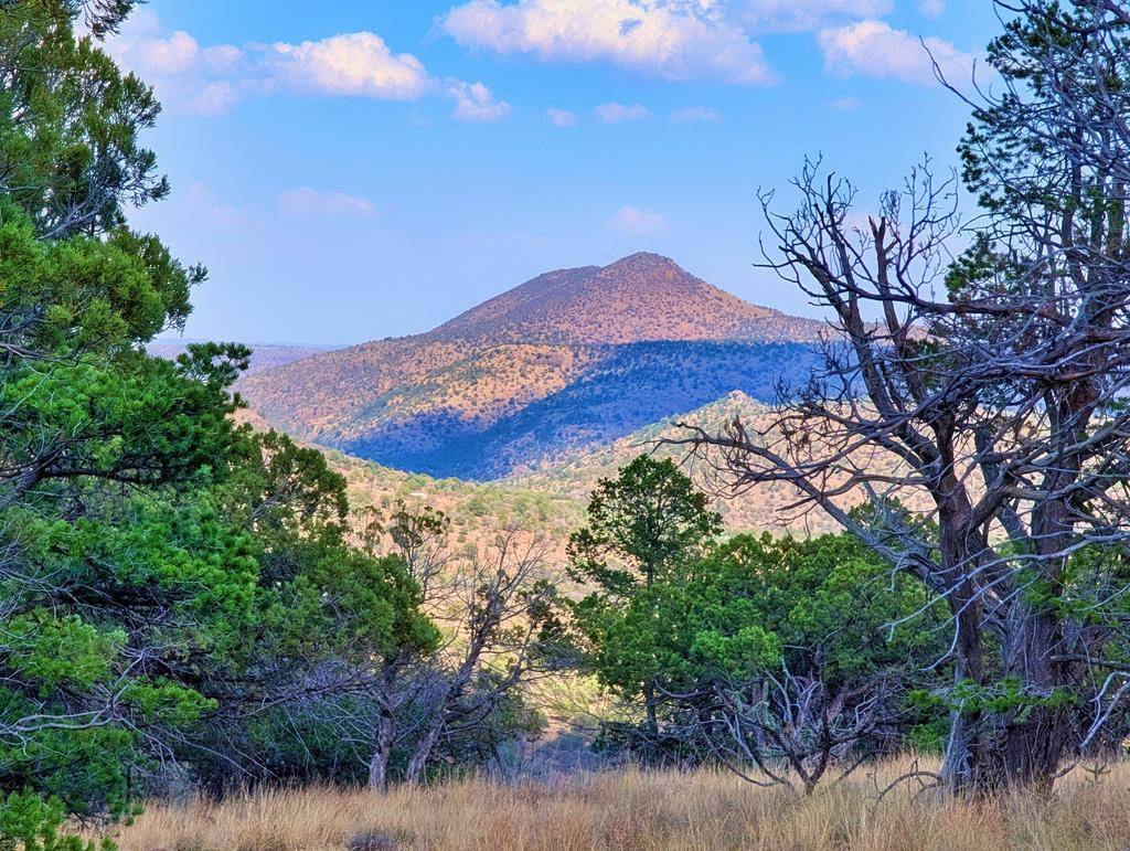 Fort Davis, TX 79734,114 Low Meadow Trail