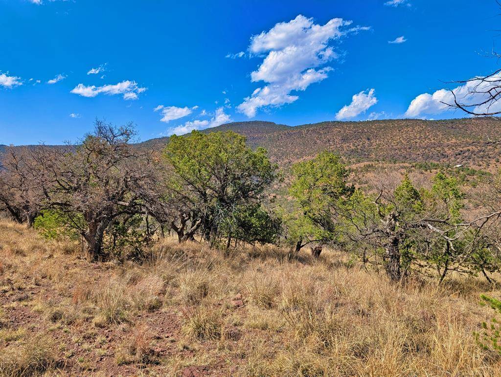 Fort Davis, TX 79734,114 Low Meadow Trail