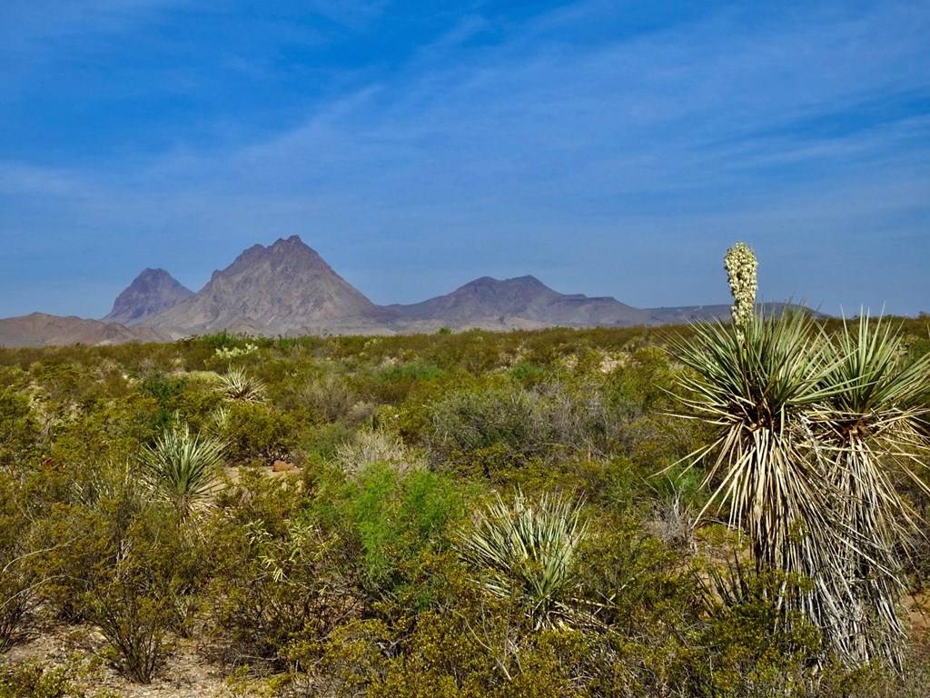 Terlingua, TX 79852,889 Sombrero Peak Road