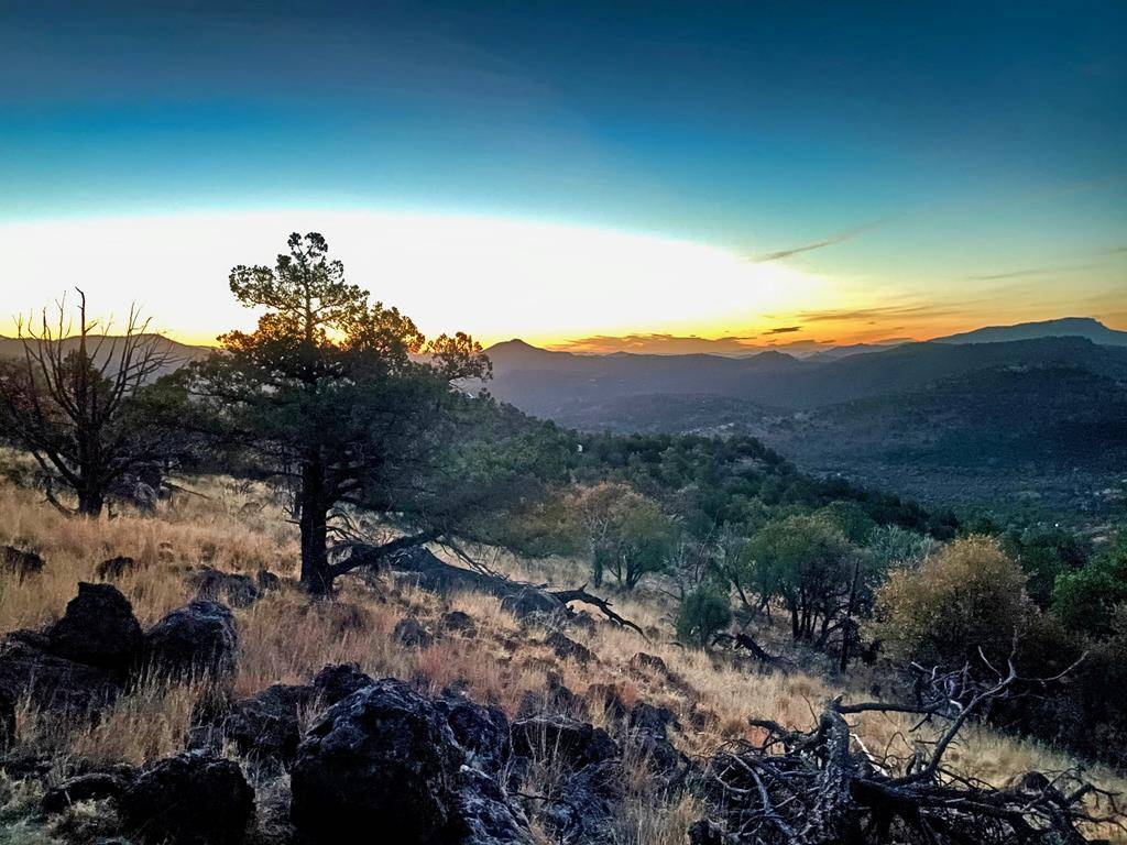 Fort Davis, TX 79734,209 Low Meadow Trail