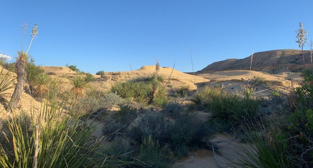 Terlingua, TX 79852,1701 La Luna Rd