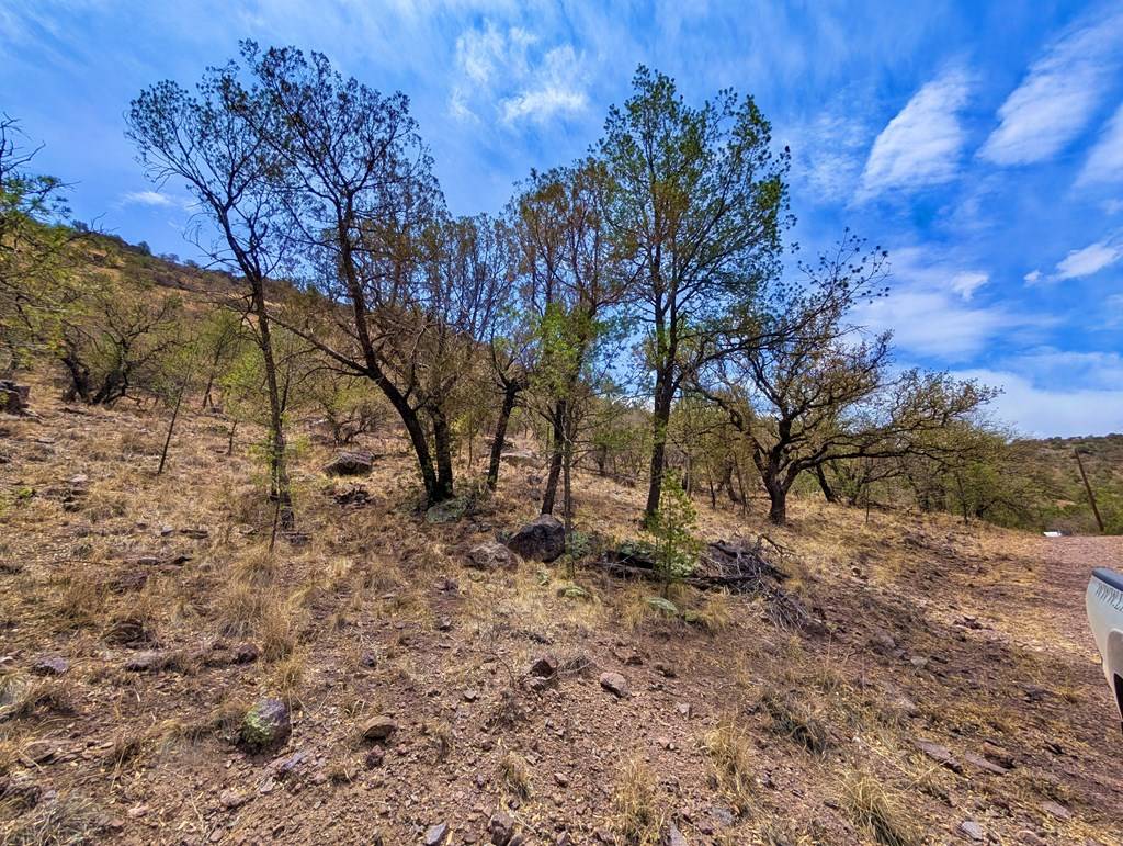 Fort Davis, TX 79734,109 Gun Club