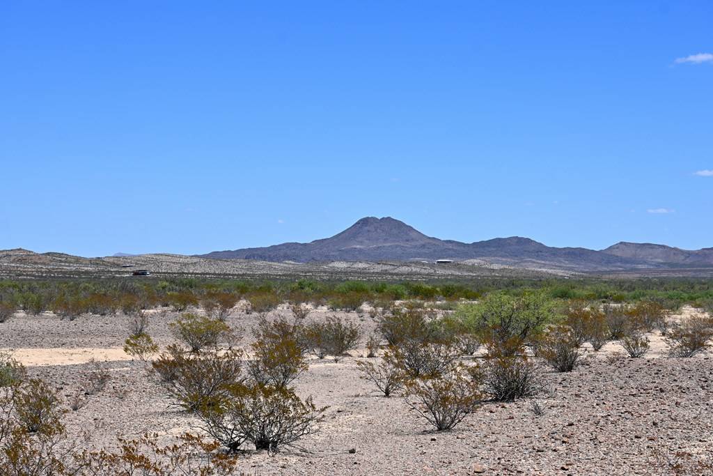Terlingua, TX 79852,605 LTM Rd