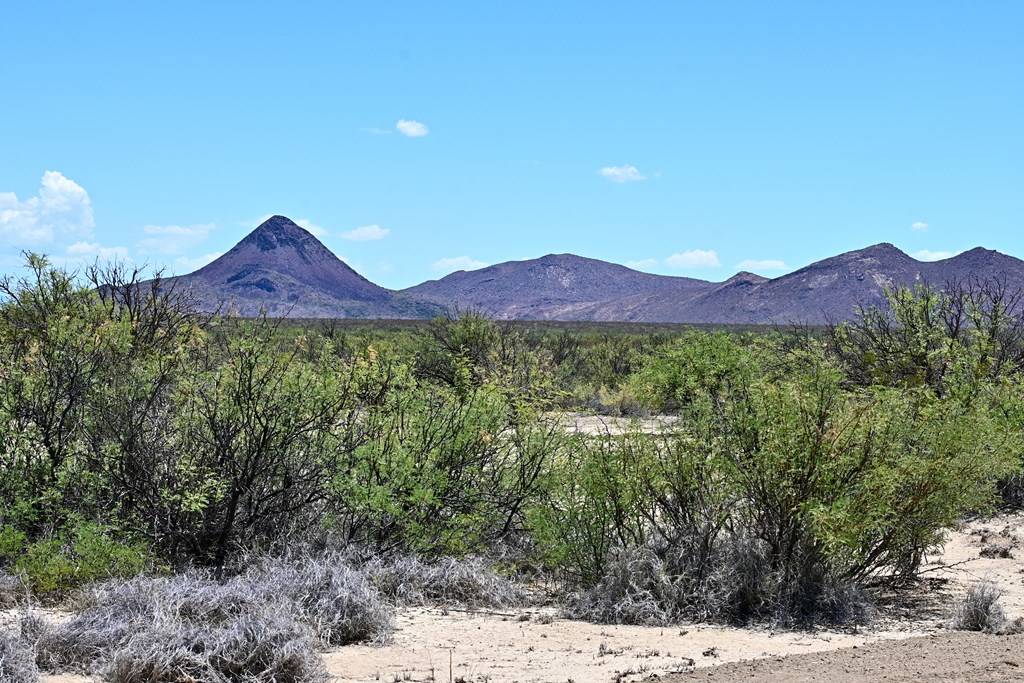 Terlingua, TX 79852,605 LTM Rd