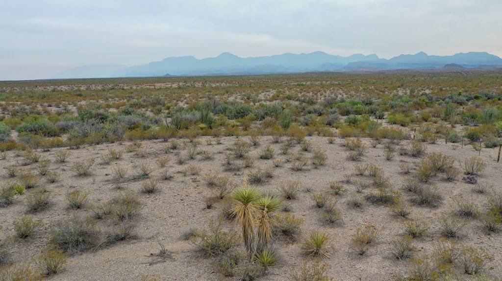 Presidio, TX 79845,Address not disclosed