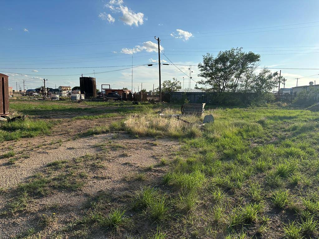 Goldsmith, TX 79741,0000 Goldsmith St
