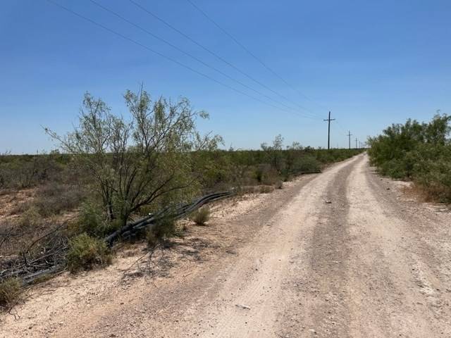 Odessa, TX 79766,00 Saltgrass St