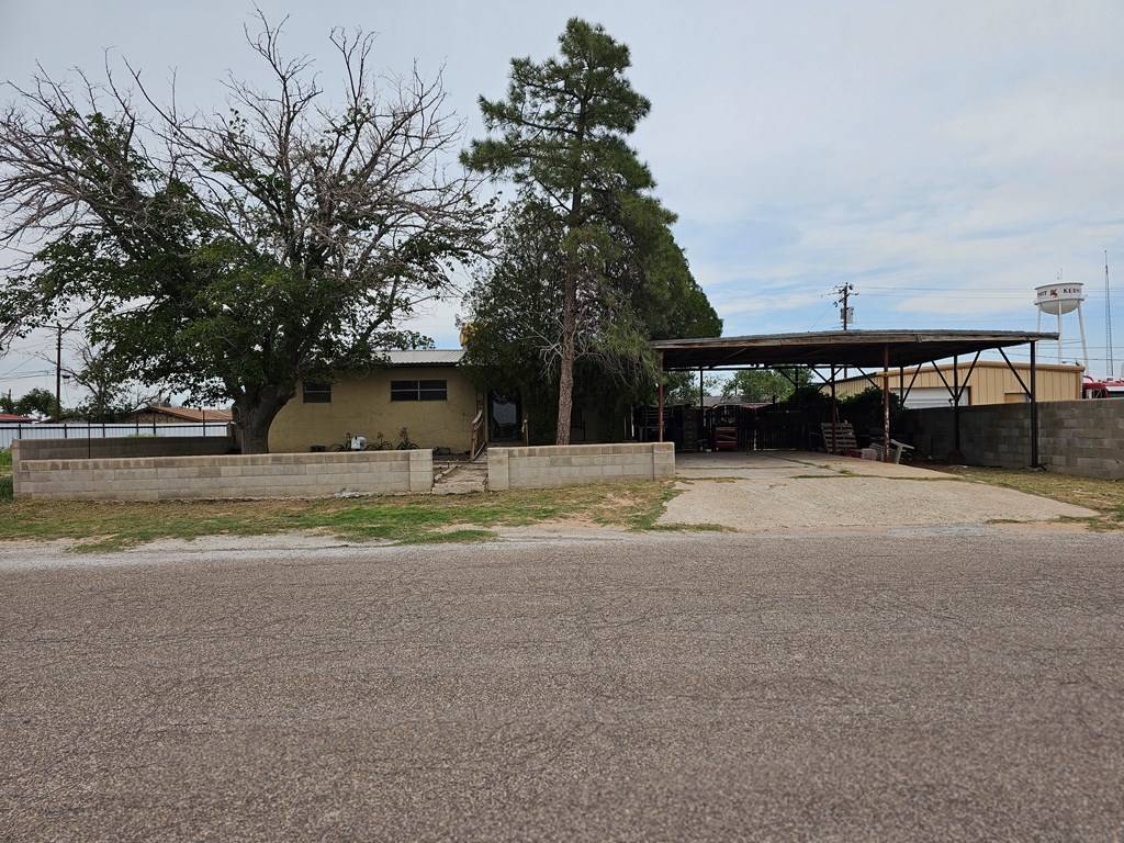 Kermit, TX 79745,115 Locust Ave