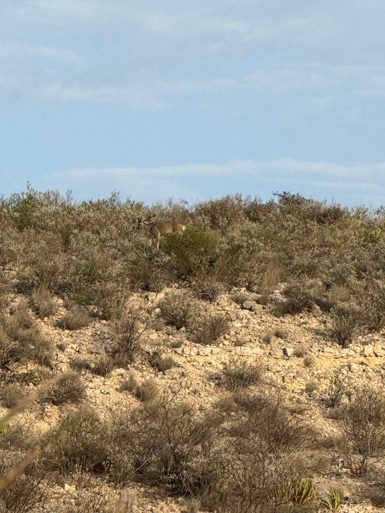 Other, TX 78851,0000 Valley View